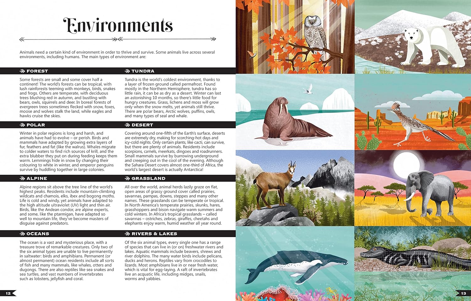 Wildlife Compendium Of The World