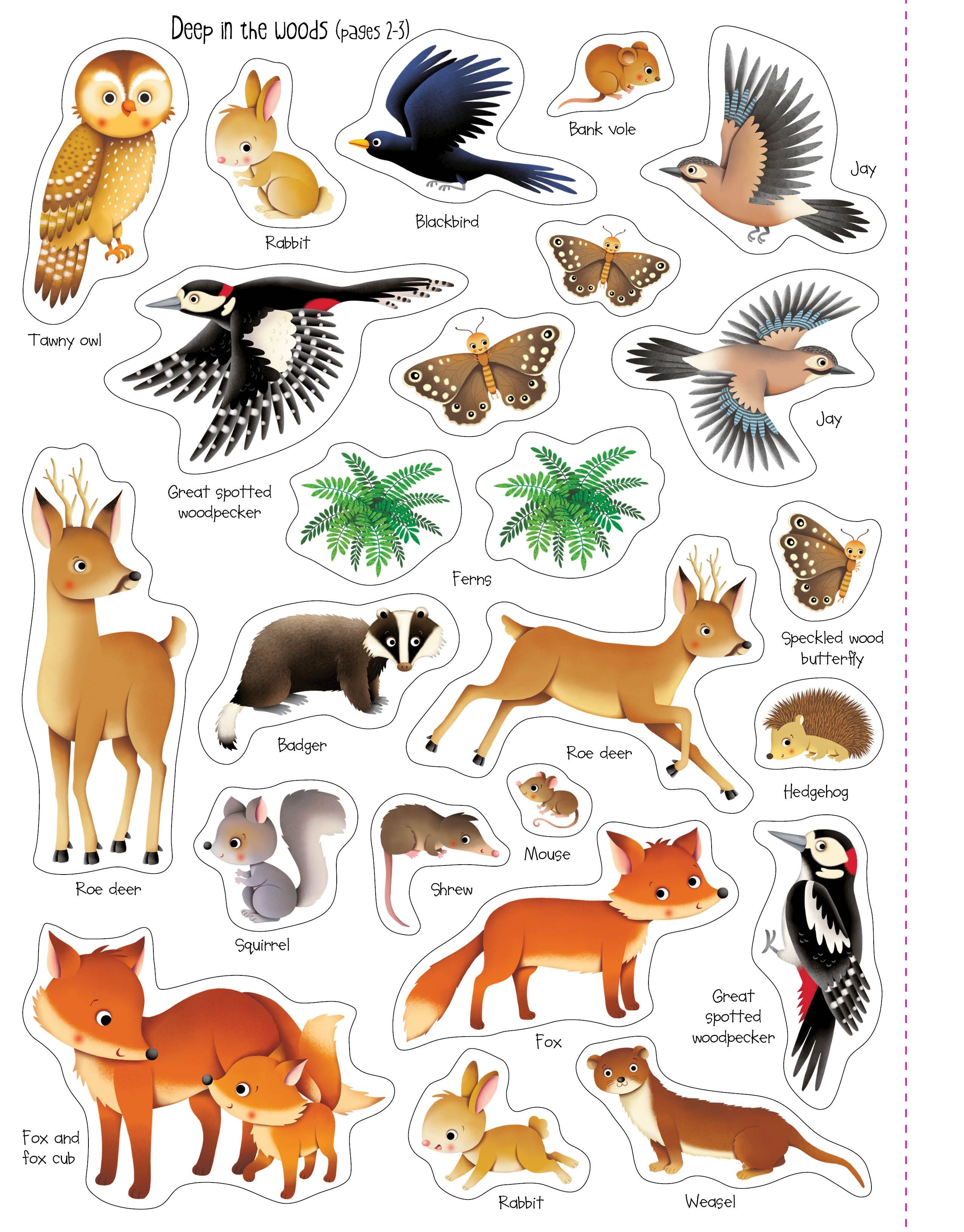 First Sticker Book Nature