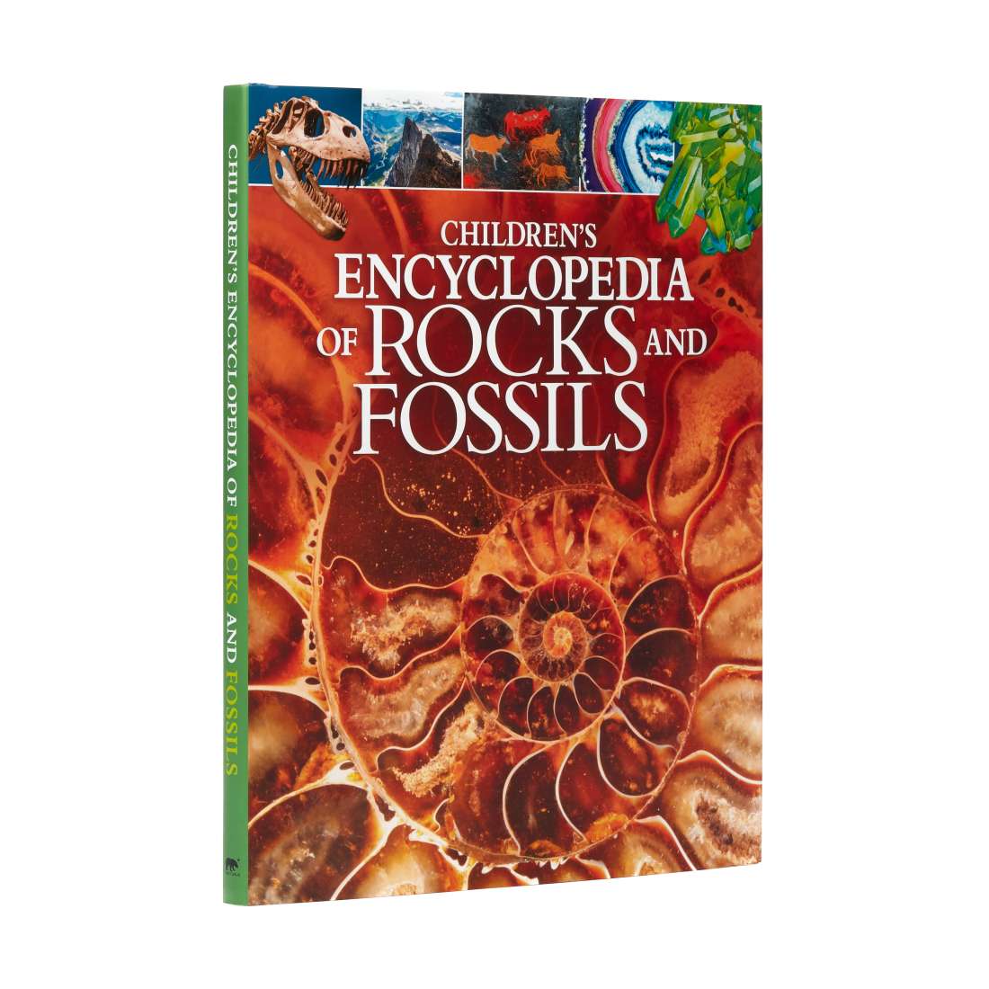 Children's Encyclopedia Of Rocks And Fossils