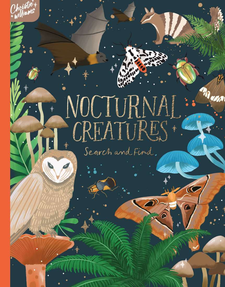 Nocturnal Creatures:  Search and Find