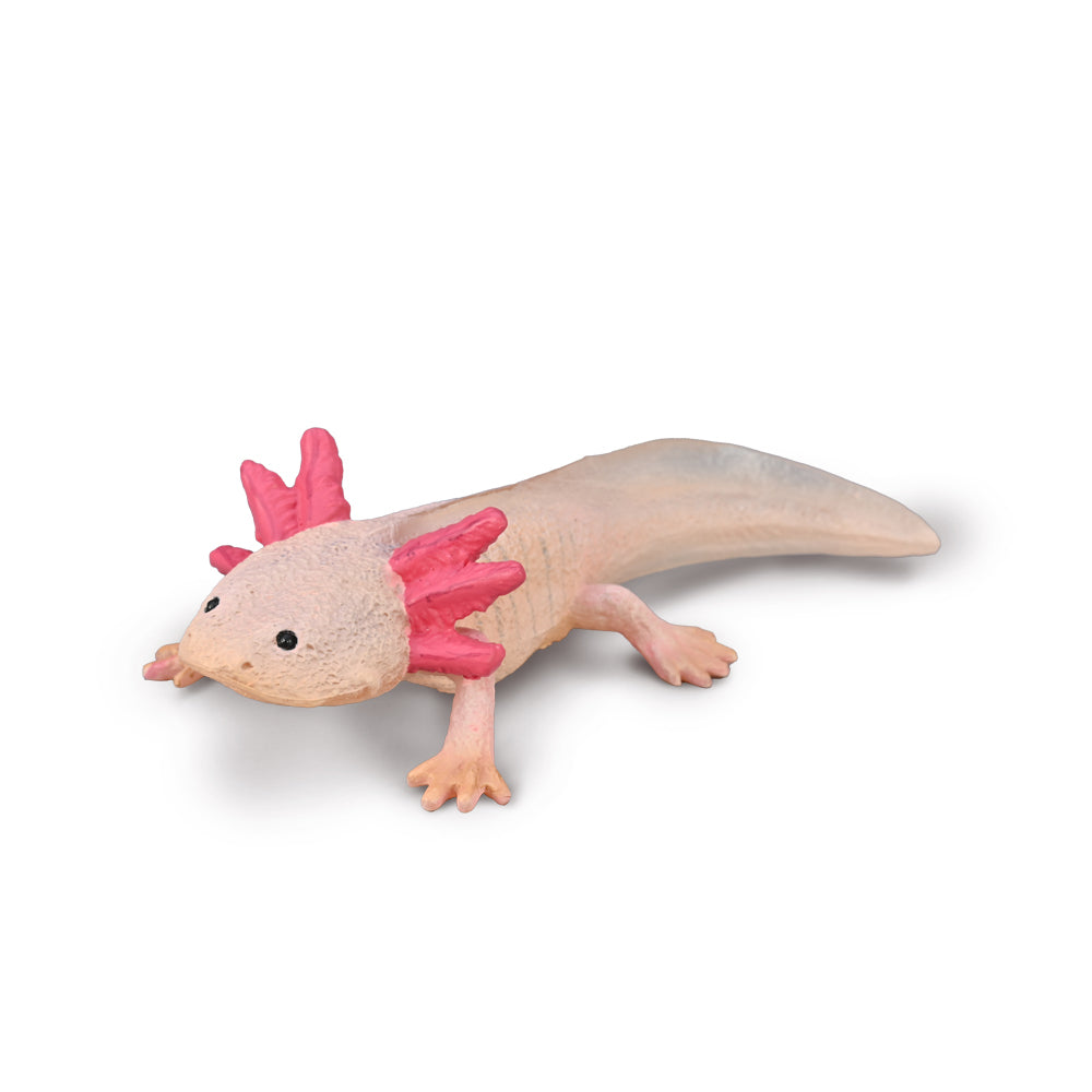 Axolotl, Medium (80015)