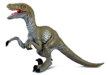 Velociraptor, Medium (88034)