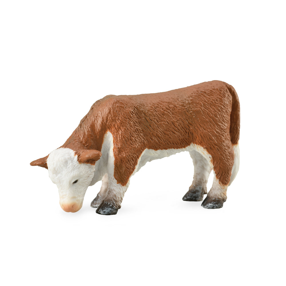 Hereford Calf Grazing, Small (88236)