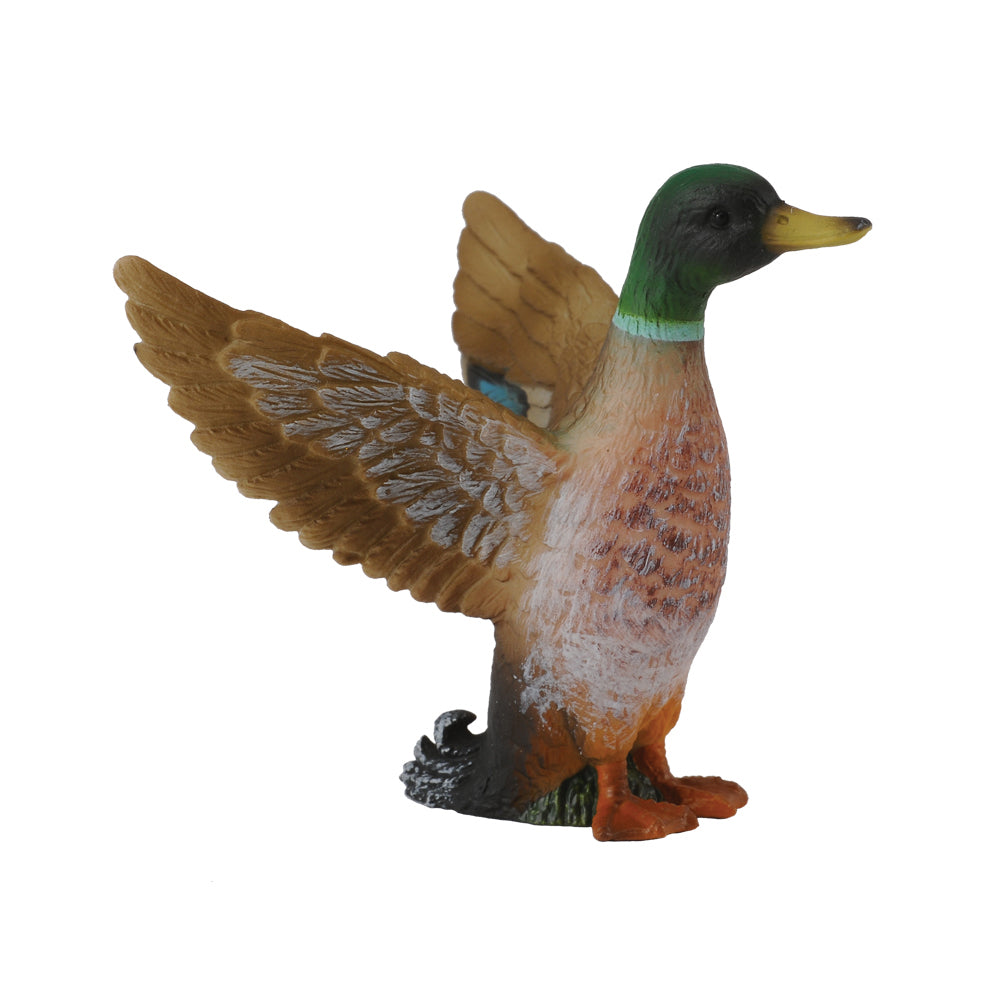 Mallard Duck Male, Small (88345)