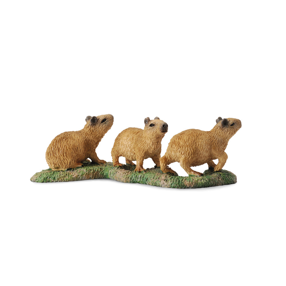 Capybara Babies, Small (88541)