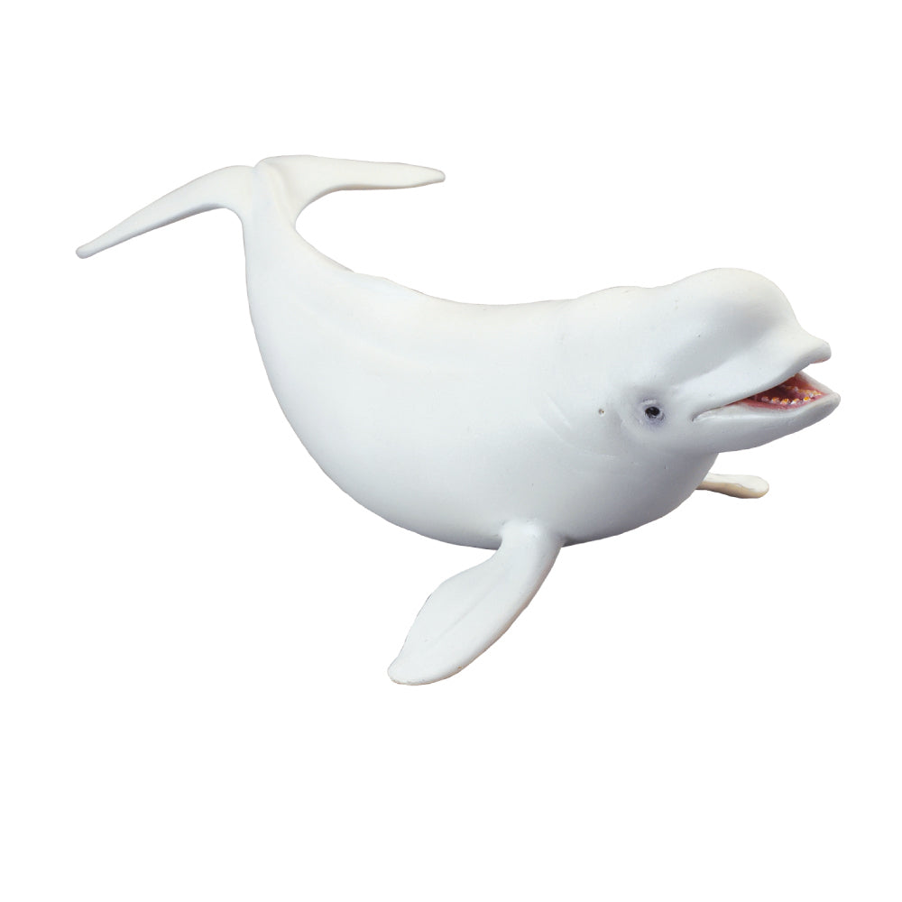 Beluga Whale, Large (88568)