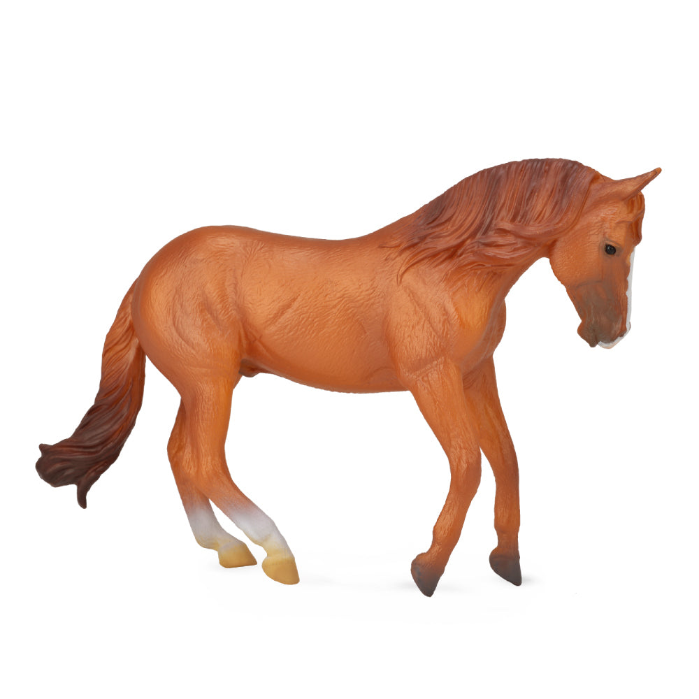 CollectA - Horses - Australian Stock Horse - Stallion - Chestnut (XL) (88712)