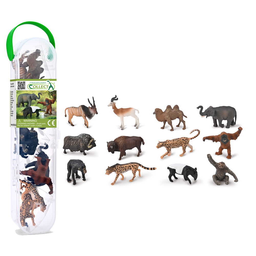 Box of Mini Wild Animals (A1212)