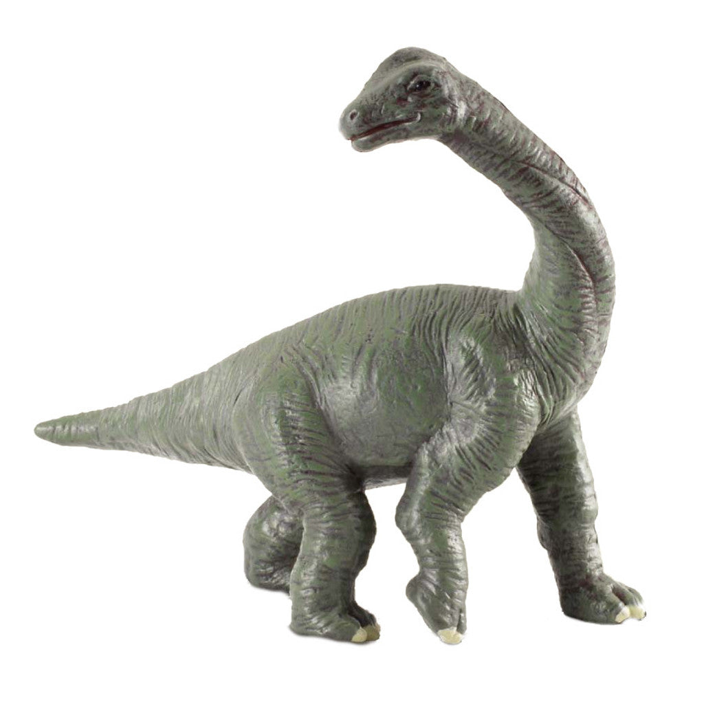 Brachiosaurus Baby, Small (88200)