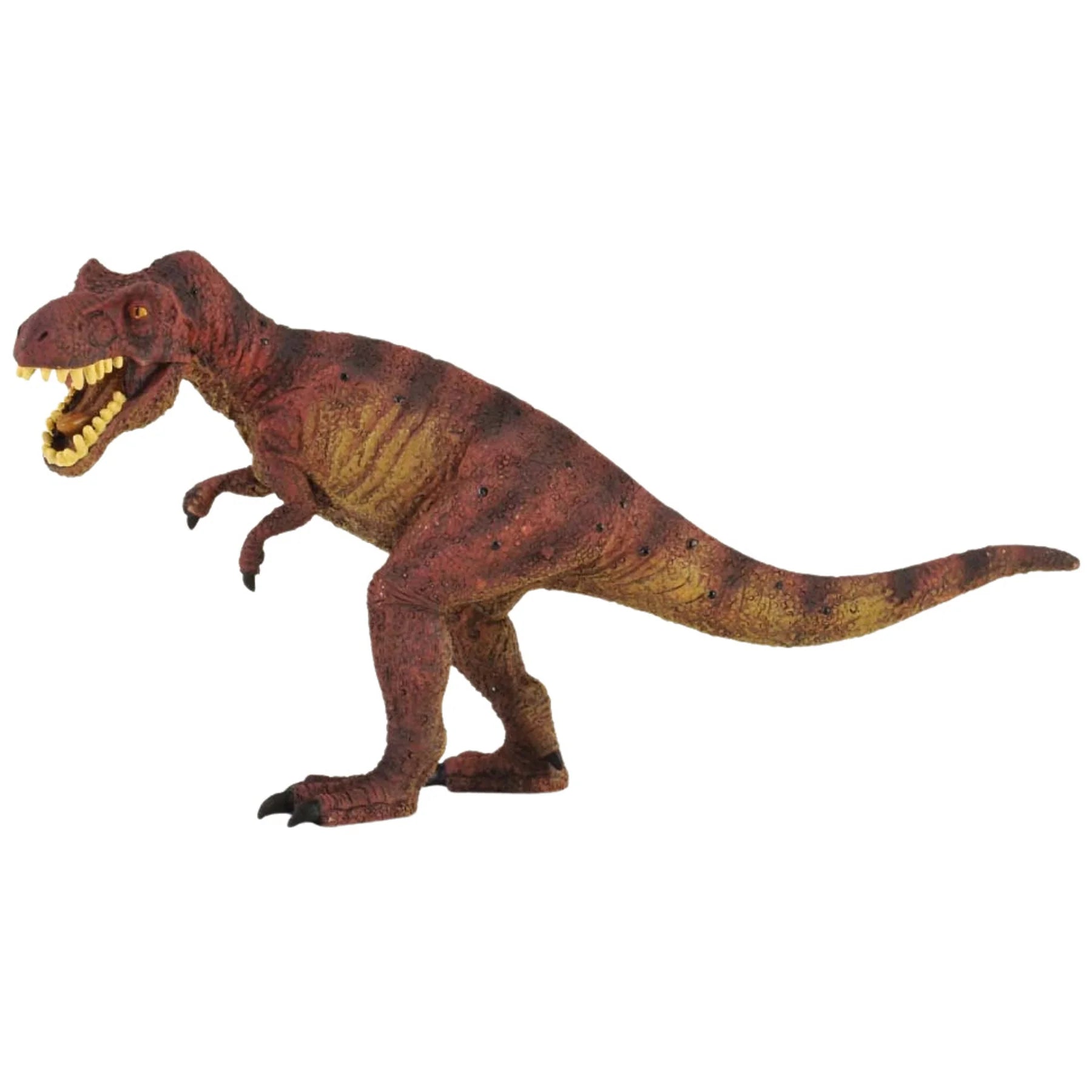 Tyrannosaurus Rex, Large (88036)