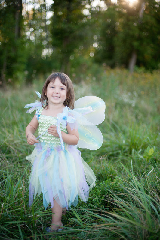 Green Butterfly Dress & Wings with Wand (5-6 Years)