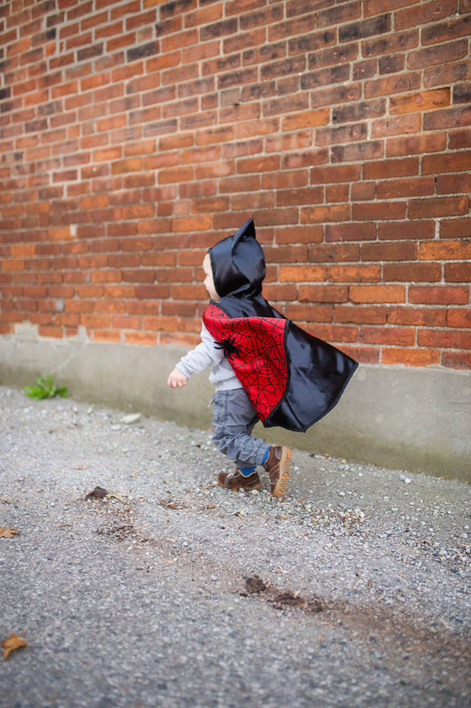 Reversible Spider and Bat Cape with Hood (2-3 Years)