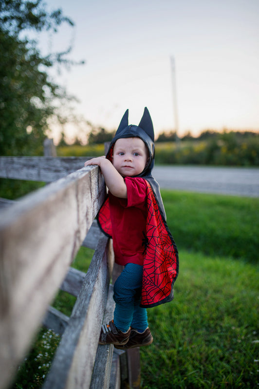 Reversible Spider and Bat Cape with Hood (2-3 Years)