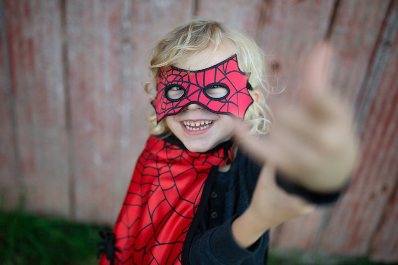 Reversible Spider and Bat Cape with Mask (4-6 Years)