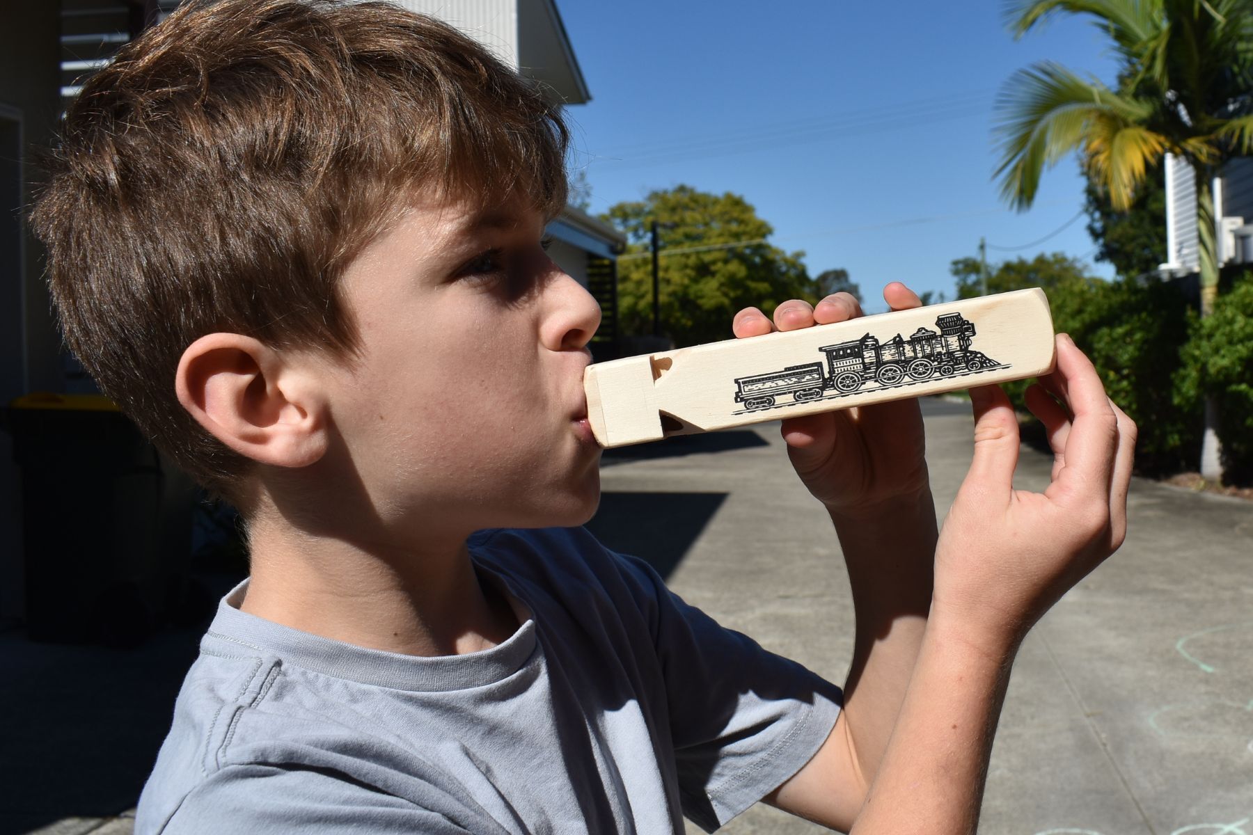 Wooden Train Whistle