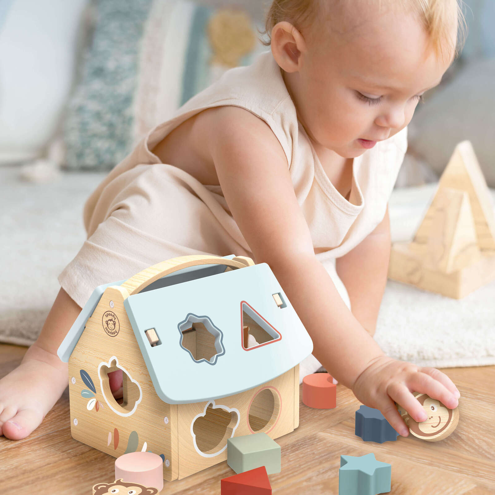 House Shape Sorter