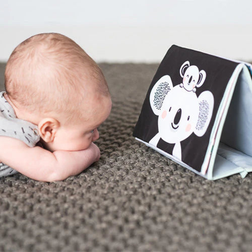 Tummy Time Book