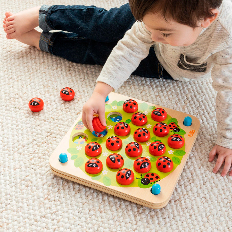 Fat Brain - Ladybug's Garden Memory Game