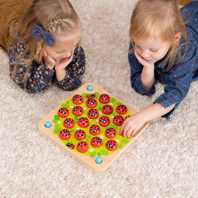 Fat Brain - Ladybug's Garden Memory Game