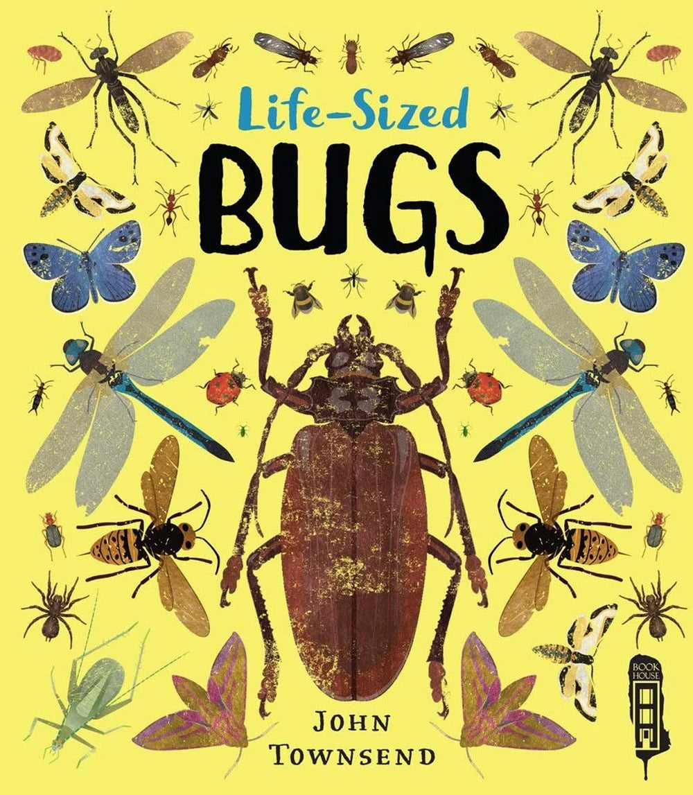 Life Size Bugs (Hardback)