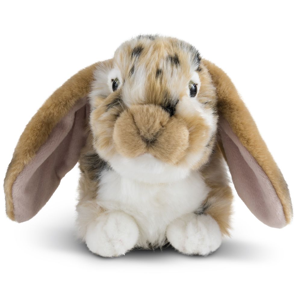 Living Nature - Dutch Lop Eared Rabbit Brown