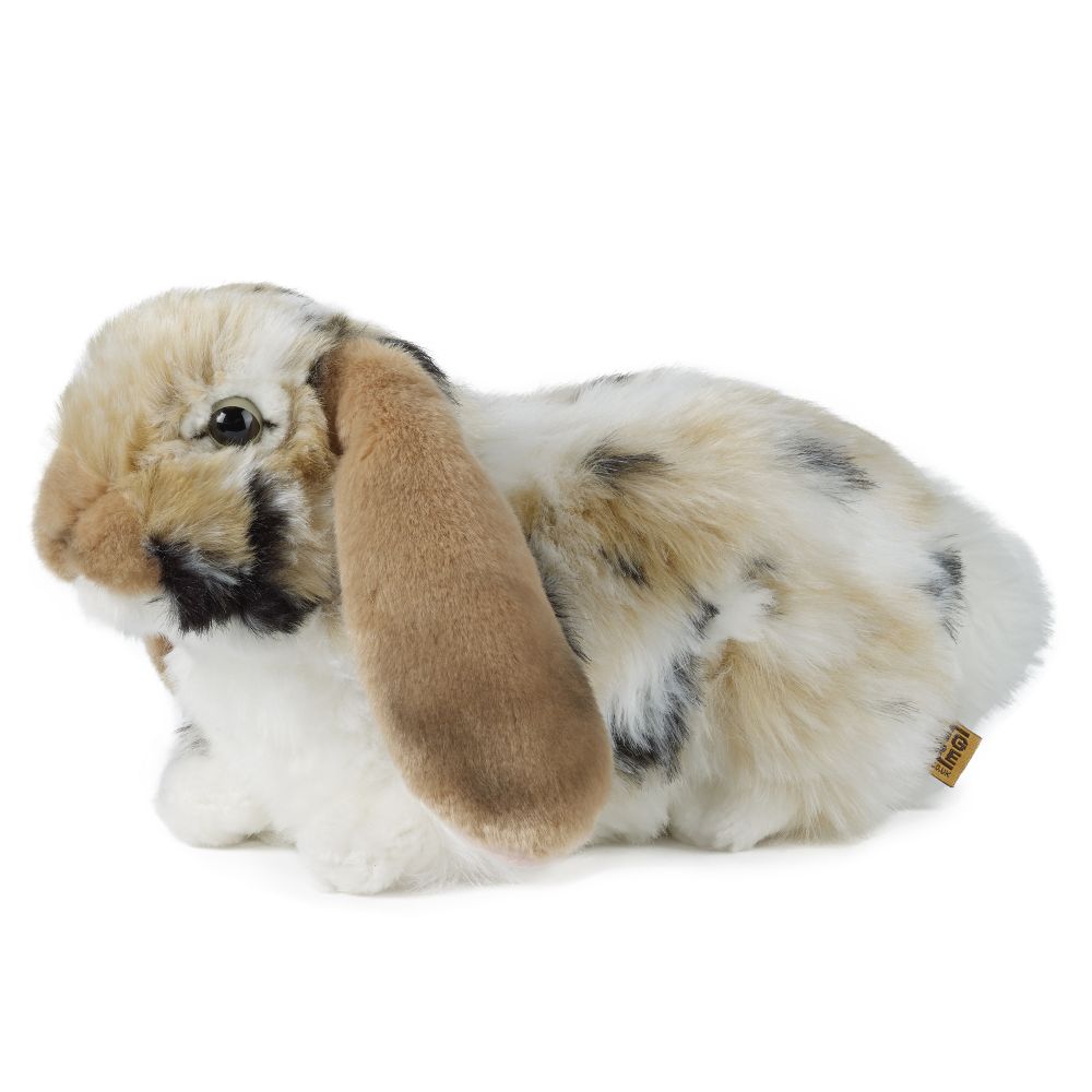 Living Nature - Dutch Lop Eared Rabbit Brown