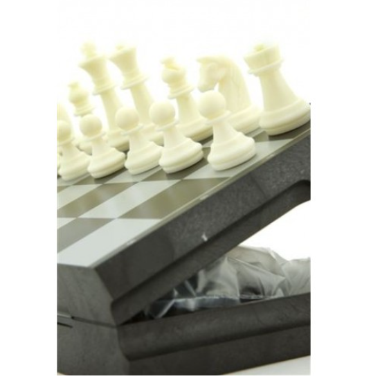 Chess - Magnetic - 8"