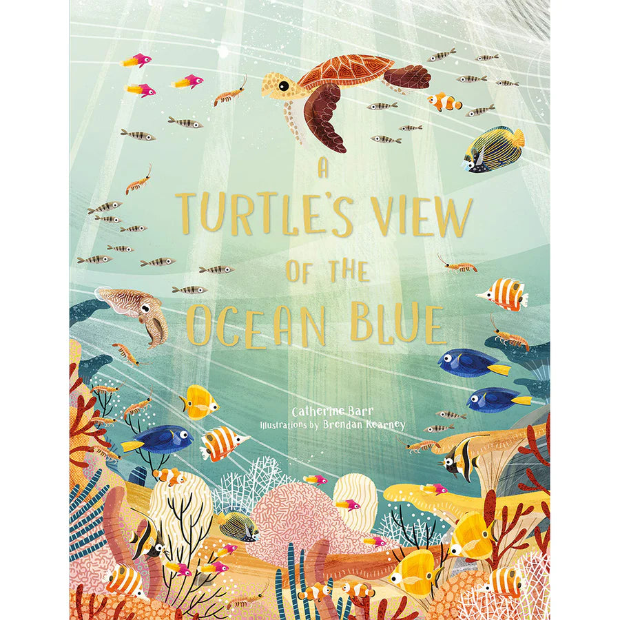 A Turtle's View of the Ocean Blue