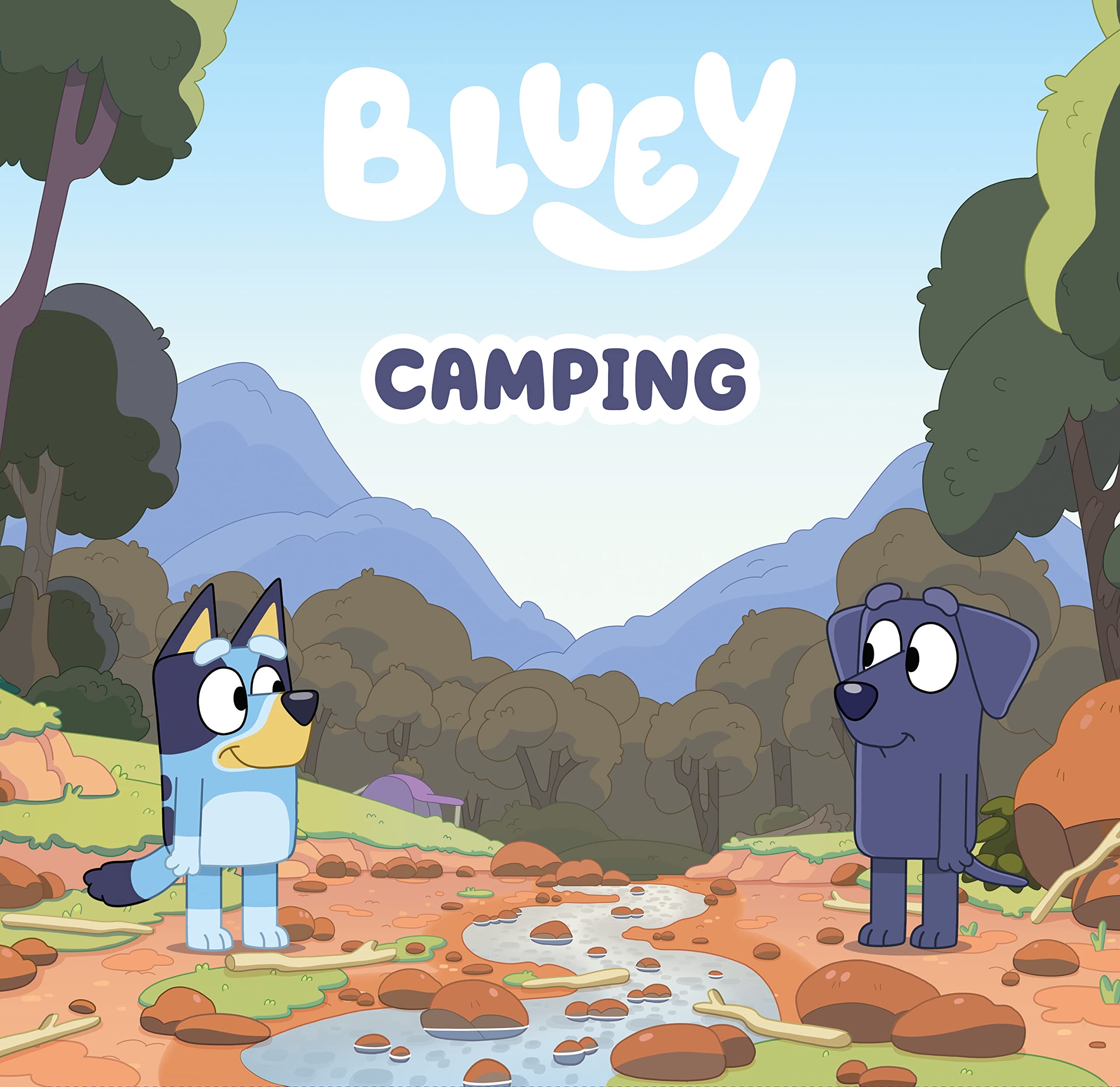 Bluey - Camping