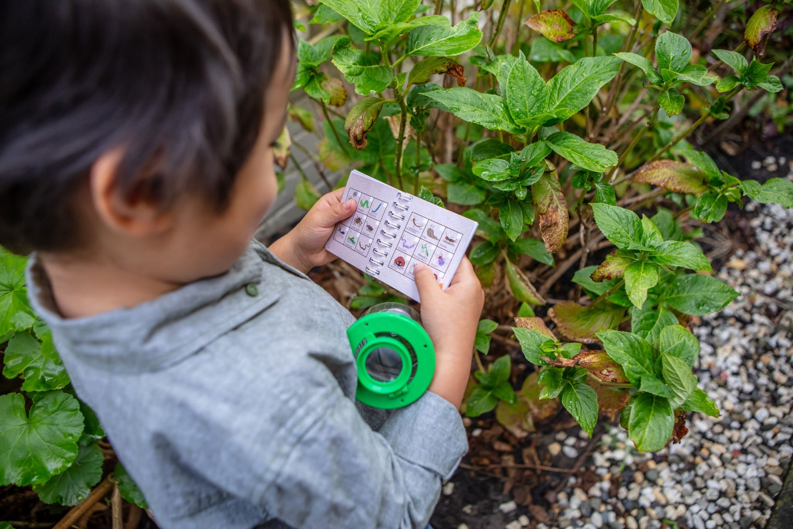 Tiger Tribe - Bug Spotter Kit